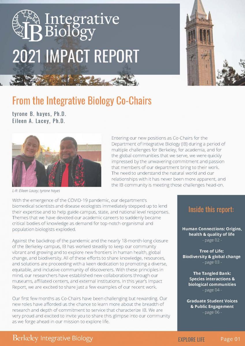 Screenshot of Impact Report PDF
