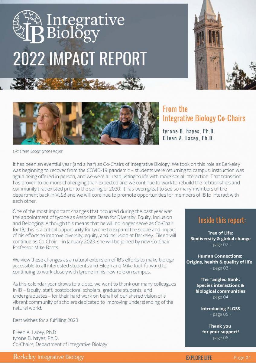 Screenshot of Impact Report Front page
