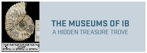 The Museums of IB A Hidden Treasure Trove