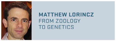 Matthew Lorincz from Zoology to Genetics