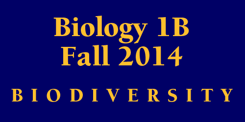 Biology 1B Fall 2014 Biodiversity Schedule