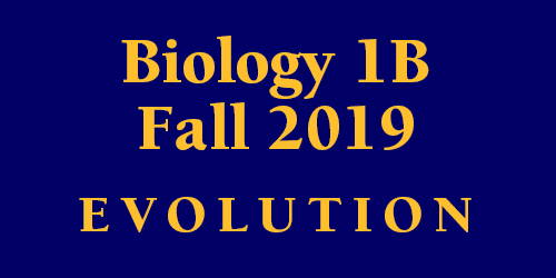 Biology 1B Fall 2019 Evolution Schedule