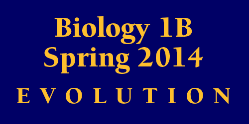 Biology 1B Spring 2014 Evolution Schedule