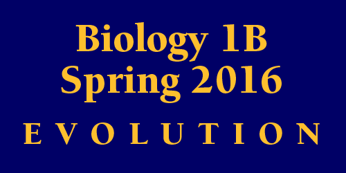 Biology 1B Spring 2016
 Evolution Schedule