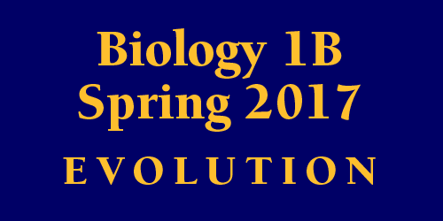 Biology 1B Spring 2017
 Evolution Schedule