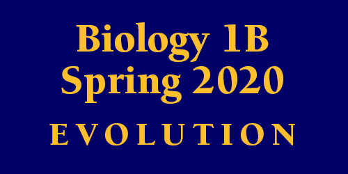 Biology 1B Spring 2020
 Evolution Schedule