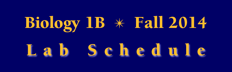 Lab Schedule Fall 2014