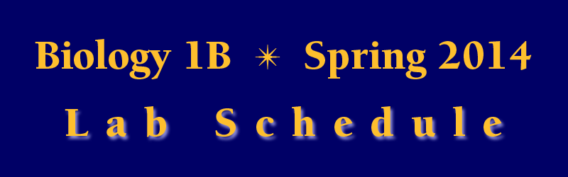 Lab Schedule Spring 2014