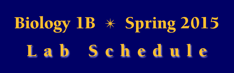 Lab Schedule Spring 2015