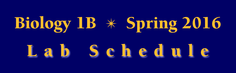 Lab Schedule Spring 2016