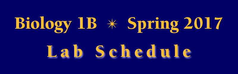 Lab Schedule Spring 2017