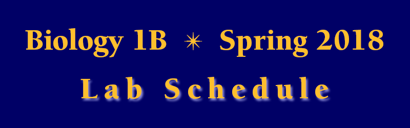 Lab Schedule Spring 2018