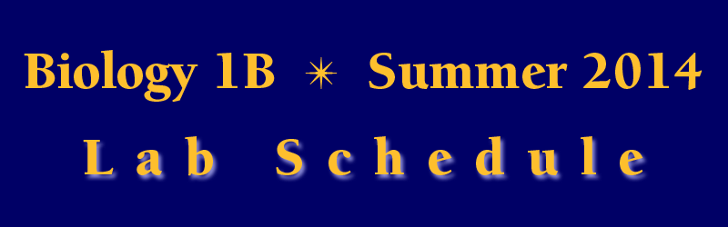 Lab Schedule Summer Session 2014
