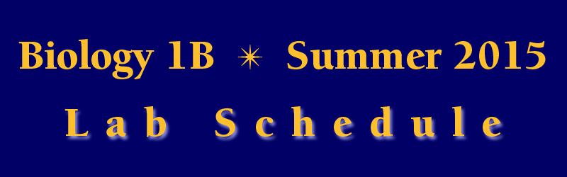Lab Schedule Summer Session 2015