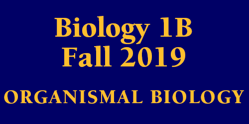 Biology 1B Fall 2019 Organismal Biology Schedule