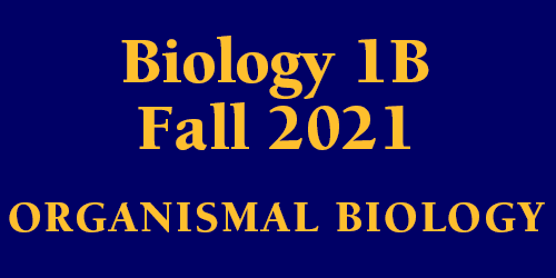 Biology 1B Fall 2021 Organismal Biology Schedule