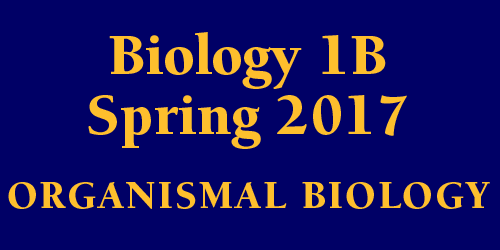 Biology 1B Spring 2017 Organismal Biology Schedule