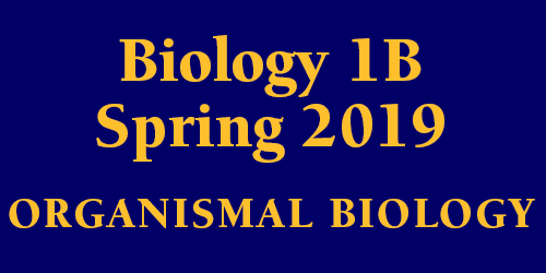 Biology 1B Spring 2019 Organismal Biology Schedule