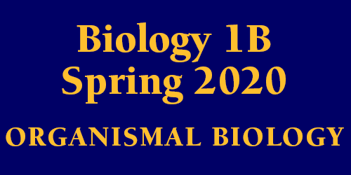 Biology 1B Spring 2020 Organismal Biology Schedule