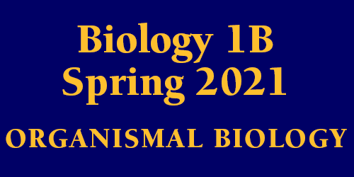 Biology 1B Spring 2021 Organismal Biology Schedule