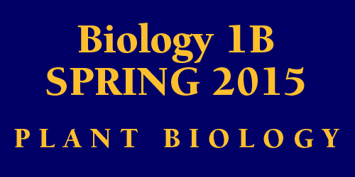 Biology 1B Spring 2015 Plant Biology Schedule