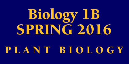 Biology 1B Spring 2016 Plant Biology Schedule