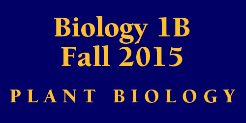 Biology 1B Fall 2015 Organismal Diversity / Plant Biology  
 Schedule