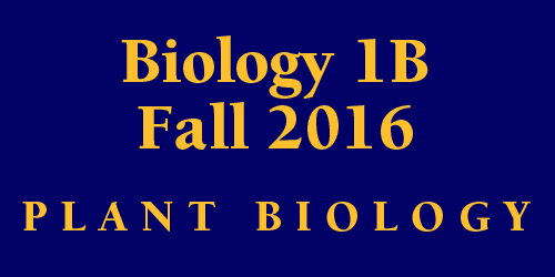 Biology 1B Fall 2016 Organismal Diversity / Plant Biology  
 Schedule