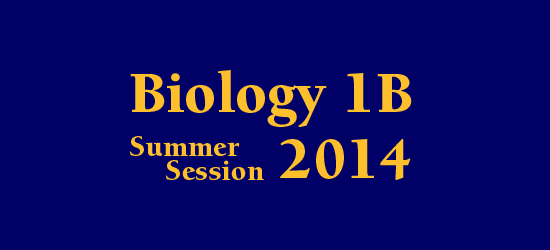 Lab Schedule Summer Session 2014
