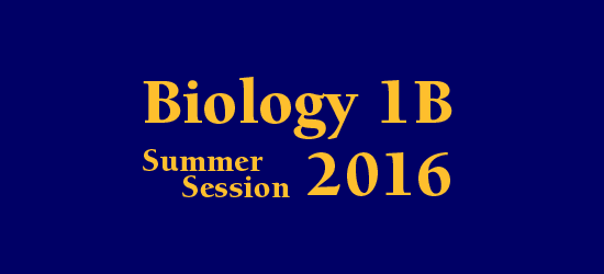 Lab Schedule Summer Session 2016