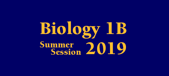 Lecture Schedule Summer Session 2019