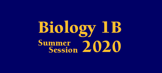 Lecture Schedule Summer Session 2020
