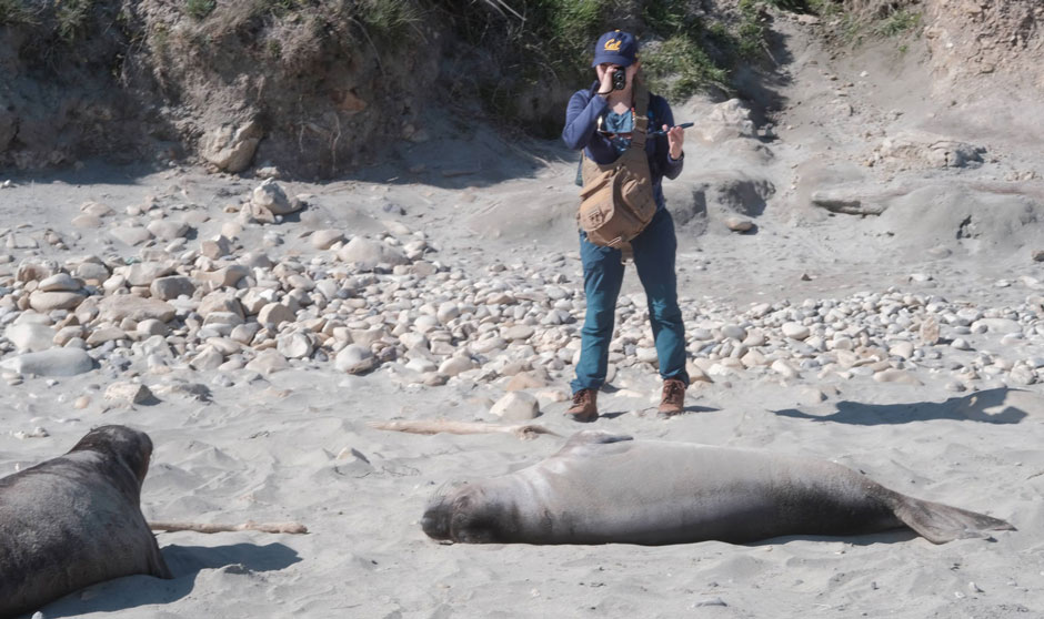 Emily with seals