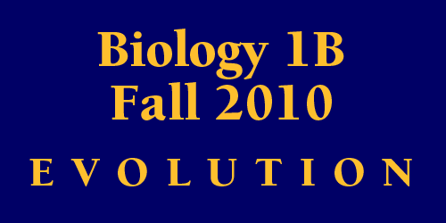 Biology 1B Fall 2010 Evolution Overview