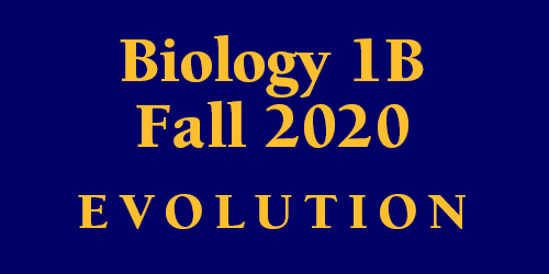 Biology 1B Fall 2020 Evolution Schedule