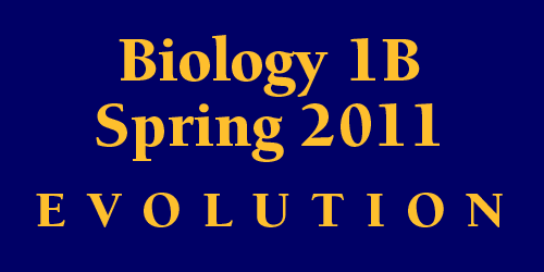 Biology 1B Spring 2011 Evolution Schedule