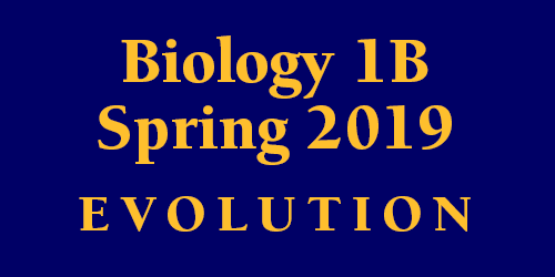 Biology 1B Spring 2019
 Evolution Schedule