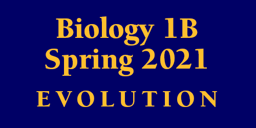 Biology 1B Spring 2021
 Evolution Schedule