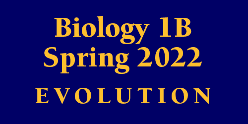 Biology 1B Spring 2022
 Evolution Schedule