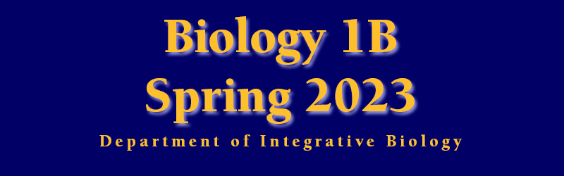 Biology 1B Spring 2023