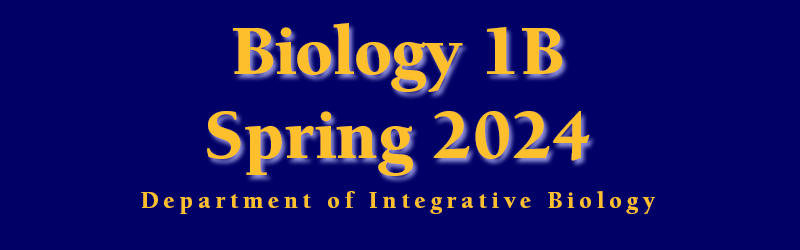 Biology 1B Spring 2024