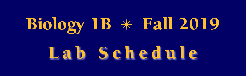 Lab Schedule Fall 2019