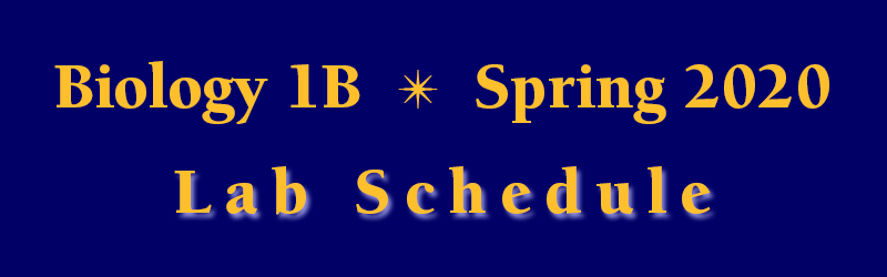 Biology 1B Spring 2020 Lab Schedule