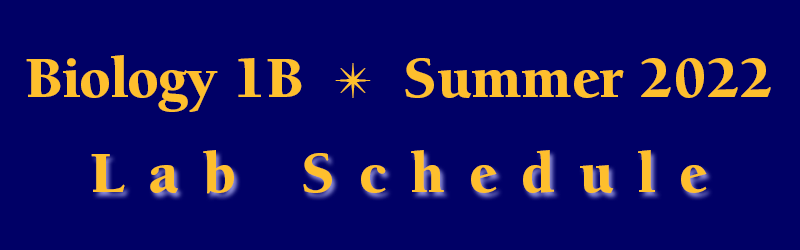 Biology 1B Summer Session 2021 Lab Schedule