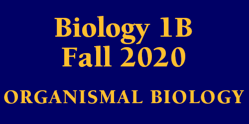Biology 1B Fall 2020 Organismal Biology Schedule