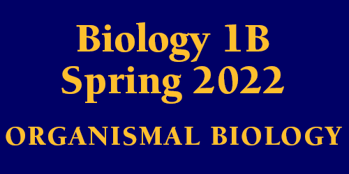 Biology 1B Spring 2022 Organismal Biology Schedule