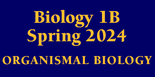 Biology 1B Spring 2024 Organismal Biology Schedule