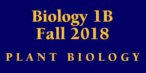 Biology 1B Fall 2018 Plant Biology Schedule
