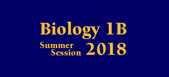 Lecture Schedule Summer Session 2018