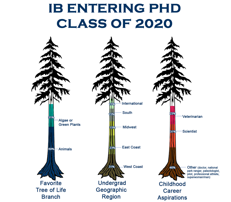 IB entering PhD class infographic_2020